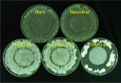 Penicillium citrinum(ATCC9849)