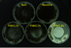 Aspergillus niger(ATTCC9642)